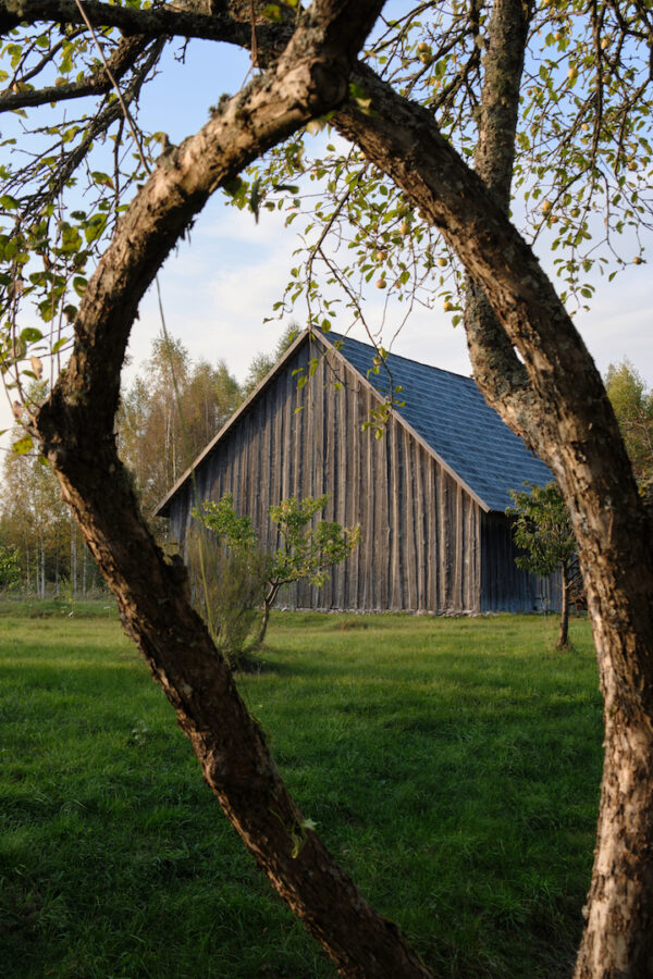 Therapeutic meditative retreat - Image 5