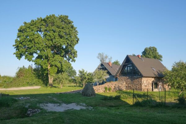 Therapeutic meditative retreat - Image 6