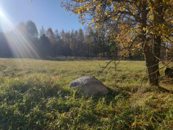 Therapeutic meditative retreat - Image 2