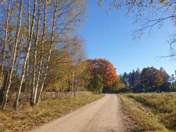 Therapeutic meditative retreat - Image 8