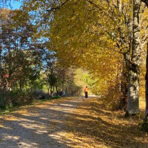 Therapeutic meditative retreat