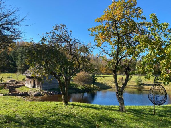 Therapeutic meditative retreat - Image 14